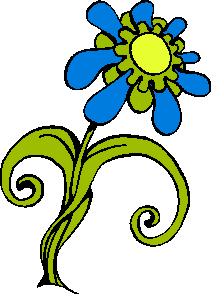 O’Keeffe’s Flowers Lesson Plan graphic