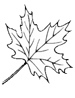 Leaf Template