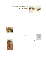 Michelangelo’s Sistine Chapel