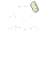 Sponge Science